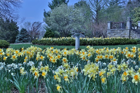 Spring at the NJ Botanical Gardens