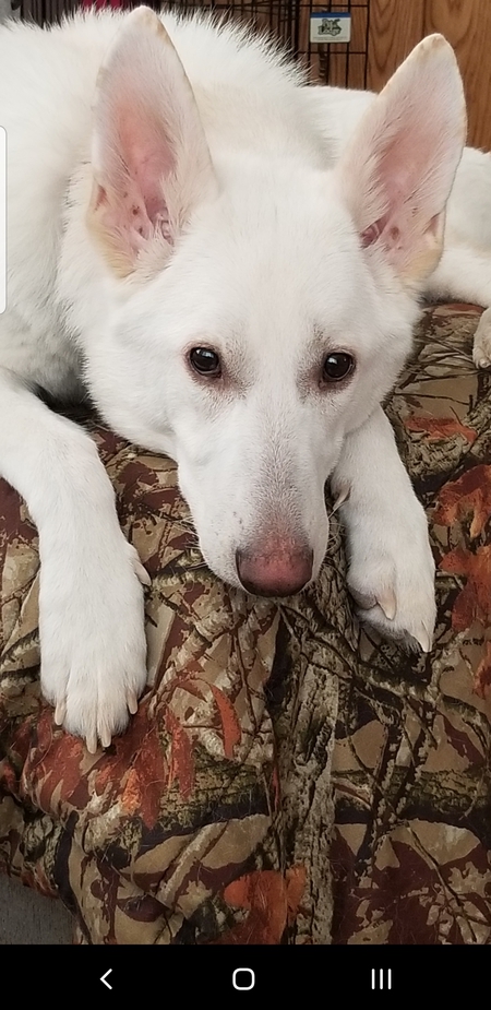Marley 