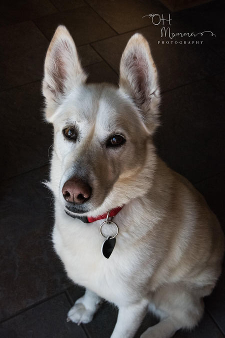 Izzy