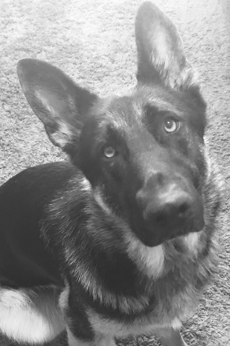 Baxter