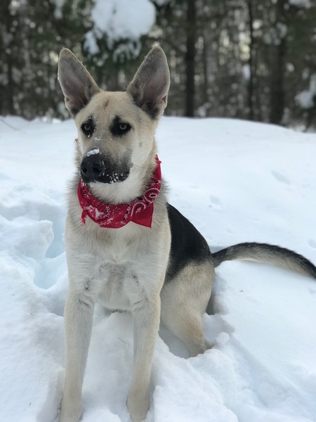 Max