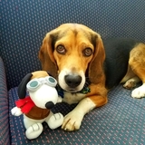Entry image for Billy