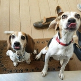 Entry image for Mia and Lilly