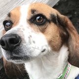Entry image for Ellie