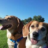 Entry image for Sam and Sky