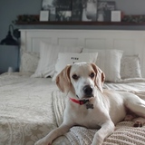 Entry image for Leroy now Tucker 