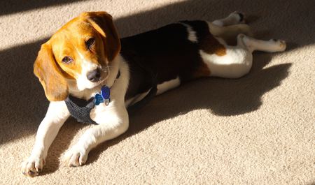 Entry image for Brandi. Clicking this image will show a larger photo