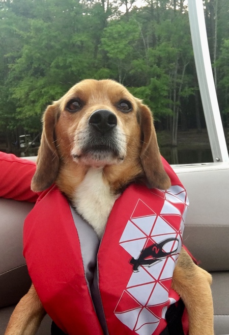 Entry image for Buddy . Clicking this image will show a larger photo