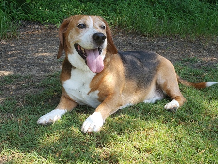 Entry image for Farmer. Clicking this image will show a larger photo