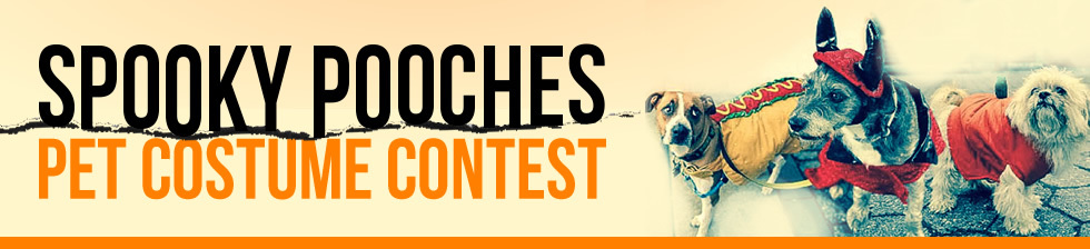 About | Erin's Midwest Animal ResQ | Spooky Pooches Pet Costume Contest About | Erin's Midwest Animal ResQ | Spooky Pooches Pet Costume Contest