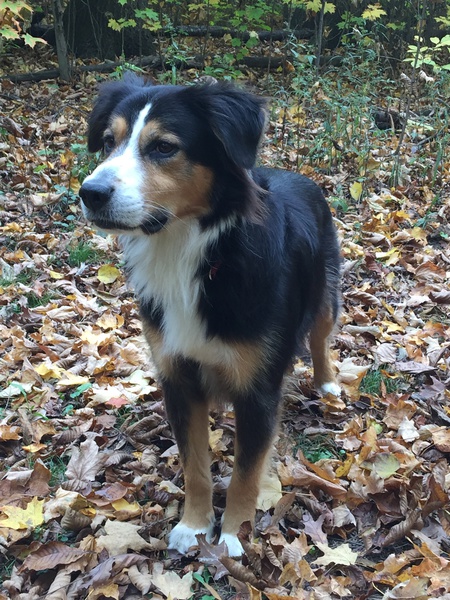 Spencer
