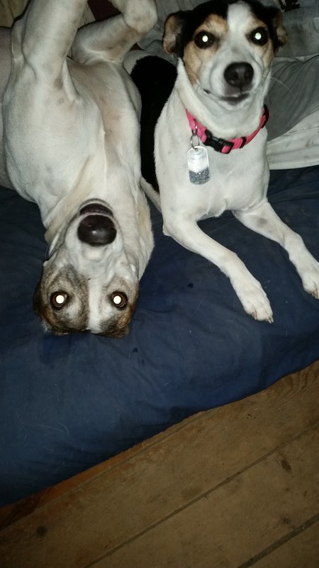 Azzie and Pepper