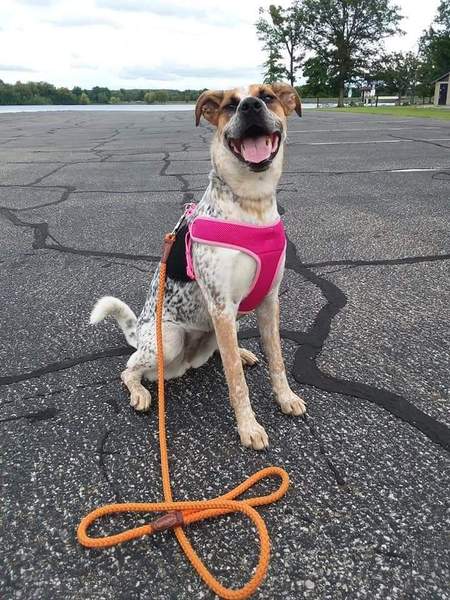 Dakota