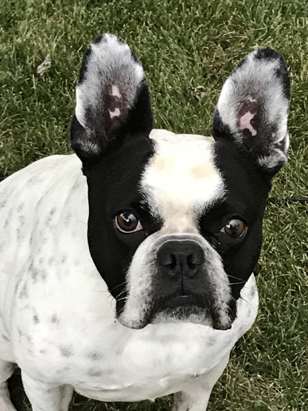 Charlie