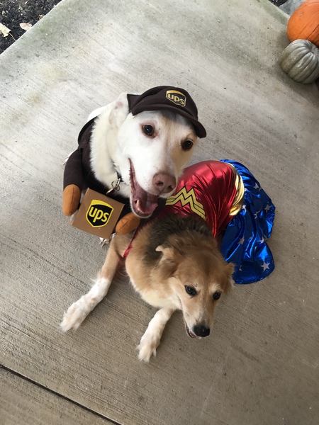 Ace and Luna