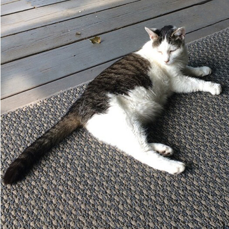 Miss Sally Snowflake (R.I.P.)