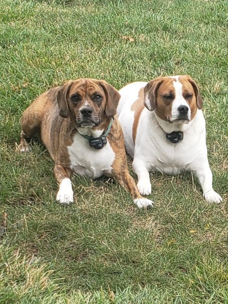 Scarlet & Ruby