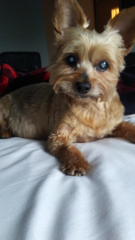 Buster