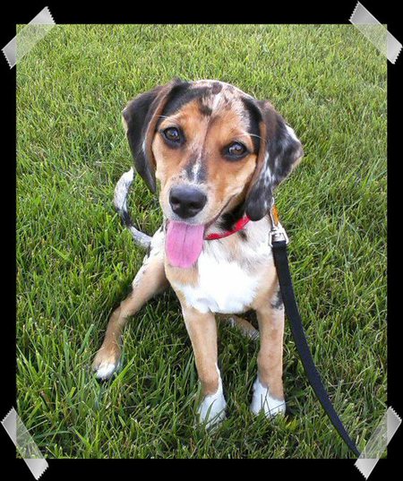 Cooper