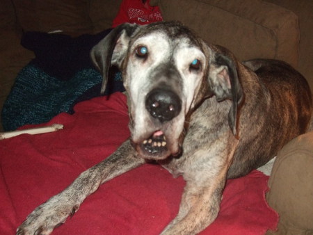 Brandy