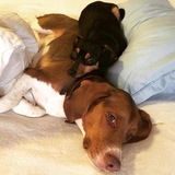 Entry image for Burton & Stout