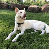 Entry image for Finley 