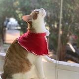 Entry image for Kuolo