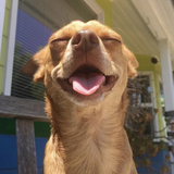 Entry image for Sunny