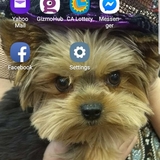 Entry image for Katie