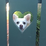 Entry image for Chalky