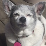 Entry image for Doris 