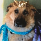 Entry image for Kaya