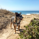 Entry image for Derrick