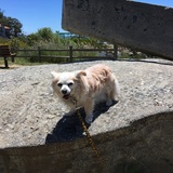 Entry image for Wanda