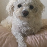 Entry image for Li’l Bit