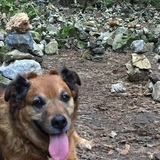 Entry image for Rigby