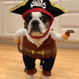 Entry image for Tristan