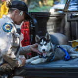 Entry image for Tundra