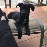 Entry image for Tuesday 