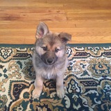 Entry image for Fanny