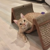 Entry image for Sabrina 