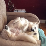 Entry image for Maggie