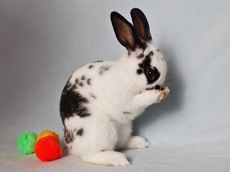 Entry image for Patrick. Clicking this image will show a larger photo