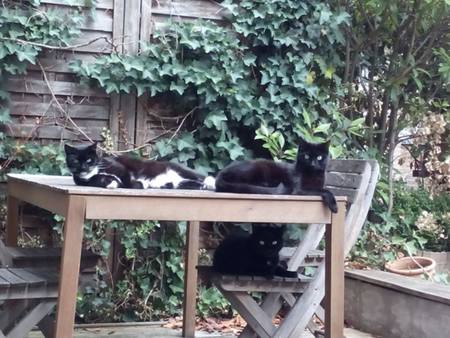 Entry image for Habibi Family. Clicking this image will show a larger photo