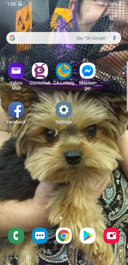 Entry image for Katie. Clicking this image will show a larger photo