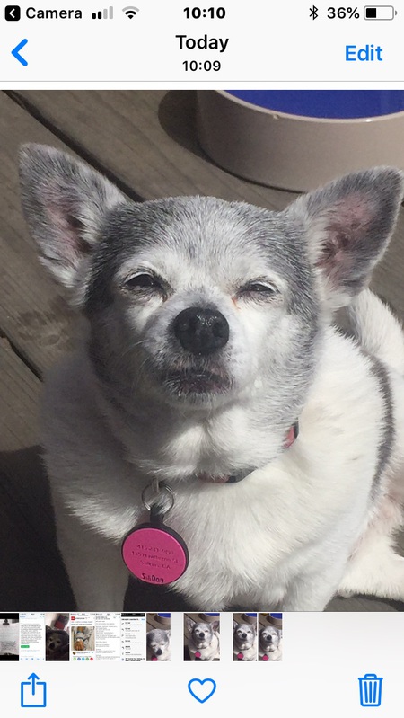 Entry image for Doris . Clicking this image will show a larger photo