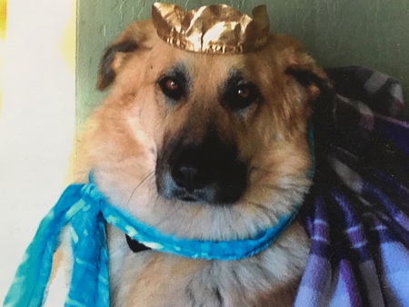 Entry image for Kaya. Clicking this image will show a larger photo