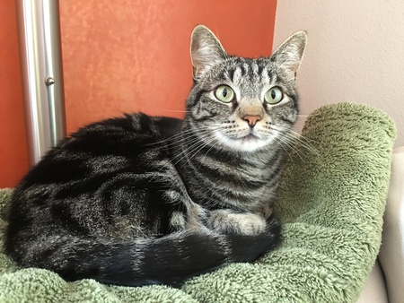 Entry image for Pixie Pedersen . Clicking this image will show a larger photo