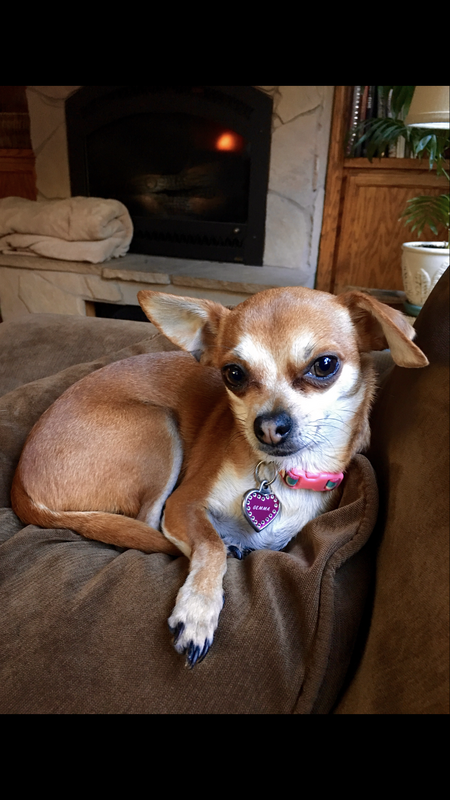 Entry image for Gemma. Clicking this image will show a larger photo