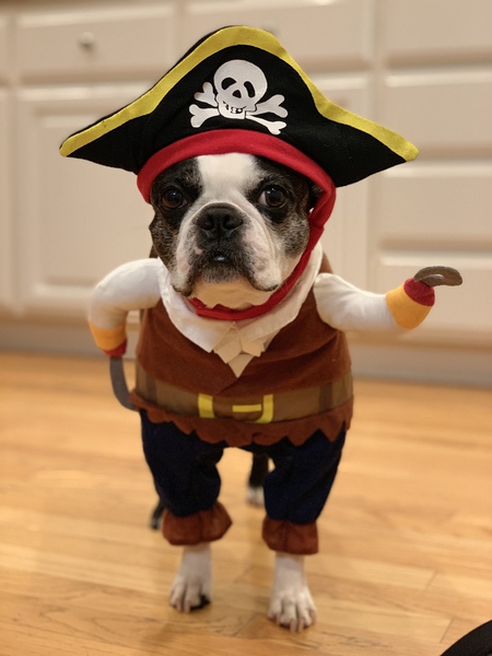 Entry image for Tristan. Clicking this image will show a larger photo